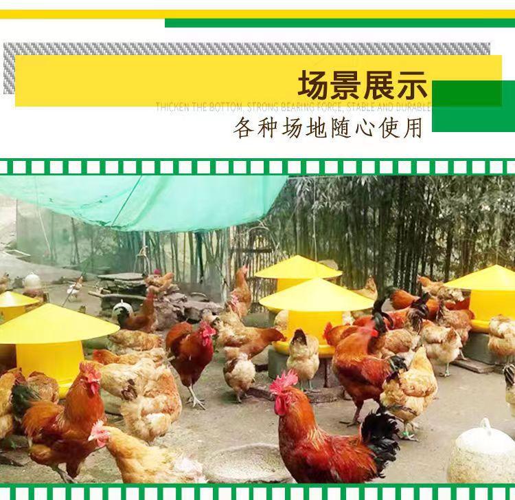 微信图片_20231224095444