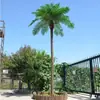 Coqueiro em Vaso Grande de Shopping Palmeira de Coco Falsa Árvore de Girassol Planta Verde Decoração de Interior Planta Tropical Exuberante