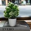 Plantas verdes de simulación superventas transfronterizas, flores creativas en maceta multicolor, muebles para el hogar, decoración de flores de simulación, mini bonsái de generación