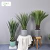 Planta Verde Simulada Pequena Planta em Vaso Suportes Orquídea Tigre Personalizada, Agave, Folha de Ninho de Pássaro, Folha de Dinheiro, Sisal de Cica