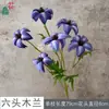 26 Anos de Materiais Florais Azul Escuro de Alta Qualidade, Materiais de Flores de Seda para Vitrines, Paisagismo, Adereços para Estúdio de Fotografia, Flores Artificiais