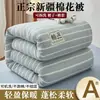 Colcha de algodón de Xinjiang, extraíble y lavable, colcha gruesa de invierno, colcha de primavera y otoño para dormitorio de estudiante, cubrecolchón para el hogar