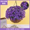Plantas Colgantes Artificiales Colgantes de Pared Lirio Cesta Pequeña de Flores Flores Falsas Margarita Pequeña Flor de Gloria de la Mañana Rama Decoración del Hogar