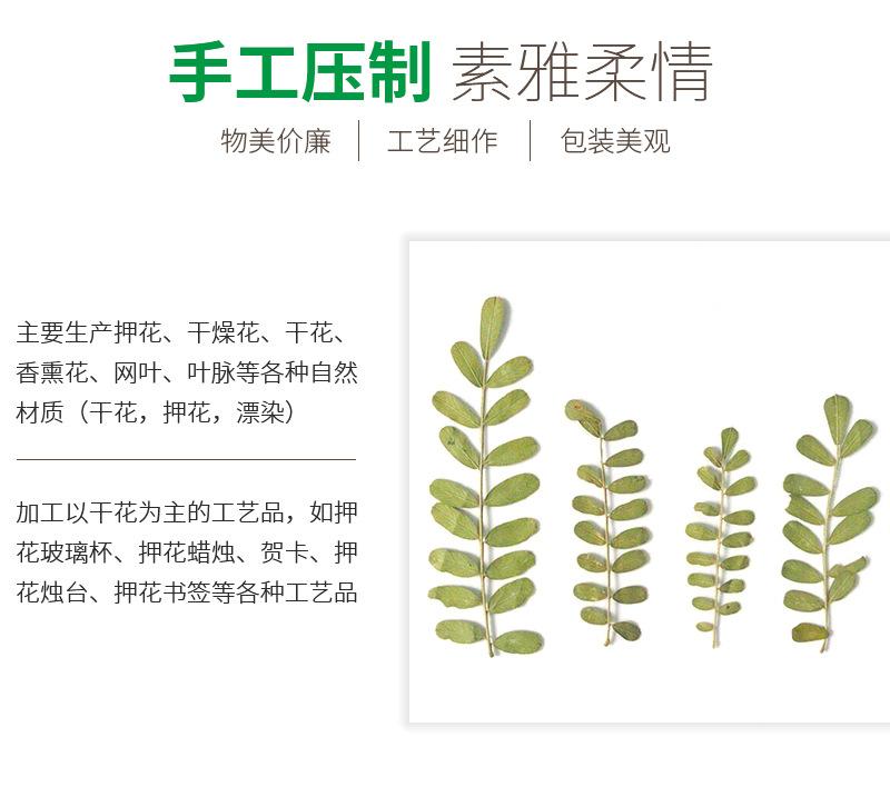 详情_03.jpg