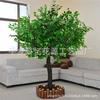 Simulación de árbol de Banyan, árbol falso, simulación de planta grande, hotel, centro comercial, accesorios de boda, árbol de los deseos, paisaje, árbol, decoración de ventanas