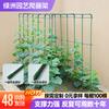 Pérgola trepadora de tubo de acero recubierto de plástico, marco para pepino y frijol, soporte para uvas, poste de soporte para plantas, marco para cobertizo de melón, pérgola trepadora fija