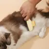 Peine para Perro Gato Quitanudos Removedor de Pelo Flotante Artefacto Masaje Peine Rastrillo Especial para Mascotas