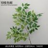 Decoración de Flores Artificiales Verdes Material de Flores de Hoja de Manzana Flor Exterior Planta Verde Hermoso Arreglo Chen Simulación de Hoja de Tortuga Arte Floral para Boda
