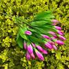 Flor artificial tulipa flor pequena tulipa pequeno botão de flor hotel cama de flor falsa decoração flor de seda atacado e varejo