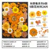 Kit de Materiales DIY de Flores Secas para Especímenes de Plantas Combinación de Flores Prensadas Hojas Reales de Otoño Flores Reales Marcador de Página con Marco de Resina