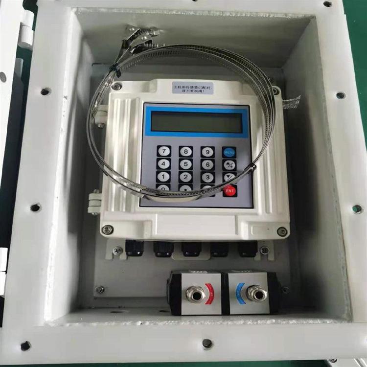 防爆型超声波流量计 (2)