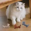 Nuevo juguete para gatos con forma de adorable cachorro salchicha, contiene hierba gatera y papel crujiente