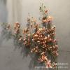 Orquídea Phalaenopsis Vandai Simulada Arranjo Floral Caseiro Fotografia Casamento Segurar na Mão Adereços de Flores Artificiais Sala de Estar Mesa de Jantar Orquídea