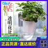 Venta al por mayor en stock de fábrica K transparente completo para colgar en la pared maceta creativa para flores perezosas cuenco de plástico con almacenamiento de agua nivel de agua visible para enviar Gancho