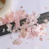 Fragmentos de concha Fragmentos brilhantes de madrepérola Glitter para nail art Adesivos para celular DIY Acessórios para joias DIY