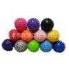 Bola de Espinhos para Massagem para Relaxamento Muscular, Bola de Pontos de Acupuntura para Pés, Mini Bola de Yoga, Bola Ouriço, Bola de Espinhos, Bola de Fáscia