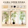 Planta Nandina Aterrizaje Planta en Maceta Interior Grande Biónica Verde Adornos Sala de Estar Lujo Ligero Flor Decorativa Árbol Falso