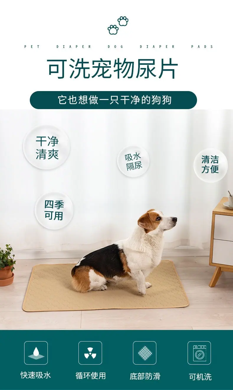 狗狗尿片_01