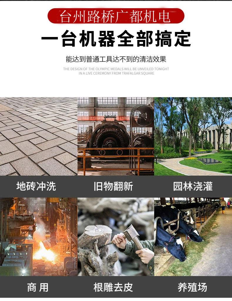 汽油高压清洗机