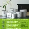 Vasinho de Suculenta para Mesa Vasinho Ecológico de Resina Plástica Suporte para Cacto Vasinho Simples para Flor de Phalaenopsis