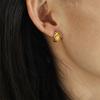 Brincos Europeus e Americanos Estilo Ins Exagerados de Chifre com Rosca para Mulheres com Brincos Elegantes e Estilosos em Listras em Forma de C Brincos Elegantes Populares