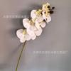 Phalaenopsis de 7 cabezas 3D tacto película Phalaenopsis mayoreo boda hogar decoración floral material de flor para shooting