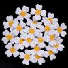 Bolsa Nova Bordada Flor Bauhinia Peça Florzinha de Cinco Pétalas Bordado em Tecido Adesivo DIY Acessório Decorativo de Cabeça Feminino