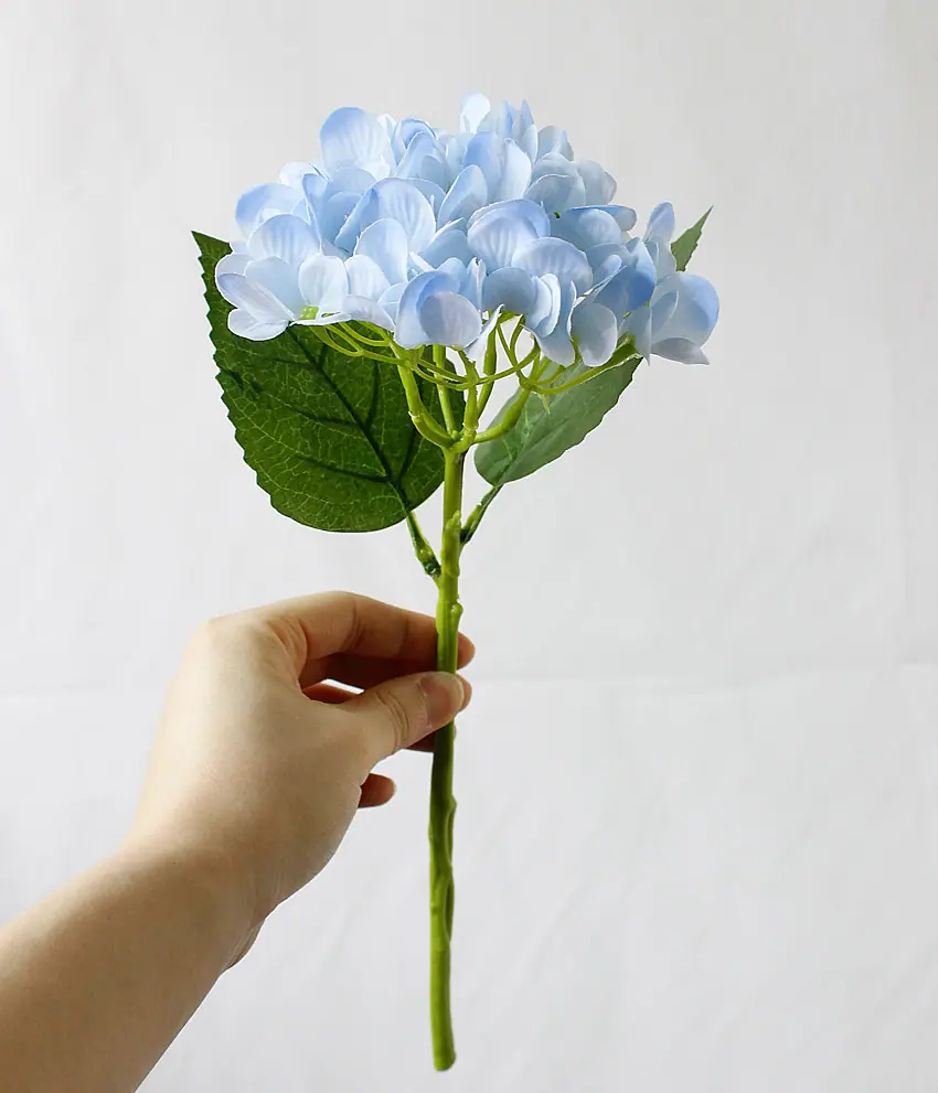浅蓝