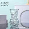 Advanced Sense Ins Wind Vaso de vidro transparente para captação de água Vaso de flores Rosa Lírio Decoração para sala de estar Estilo europeu