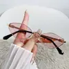Gafas de sol estilo europeo y americano con monturas metálicas de moda, gafas de sol de alta gama con montura pequeña, únicas y elegantes, protección UV, adecuadas para caras pequeñas