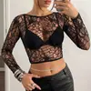 Body Meia-Calça de Renda Sexy para Halloween Alta Elasticidade Semitransparente Rede para Corpo Inteiro Em Estoque