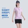 Camiseta de Manga Curta Masculina Seda de Gelo Gola Redonda Top Feminino de Verão Fino Camisa Base Esportiva Casual Respirável Camiseta Interna Secagem Rápida Roupas Compra em Grupo