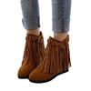 Botas de Mujer con Borlas para Combinar con Todo Zapatos Comercio Exterior Talla Grande Botas de Mujer Botines Botines Mujer JGB2022N011015