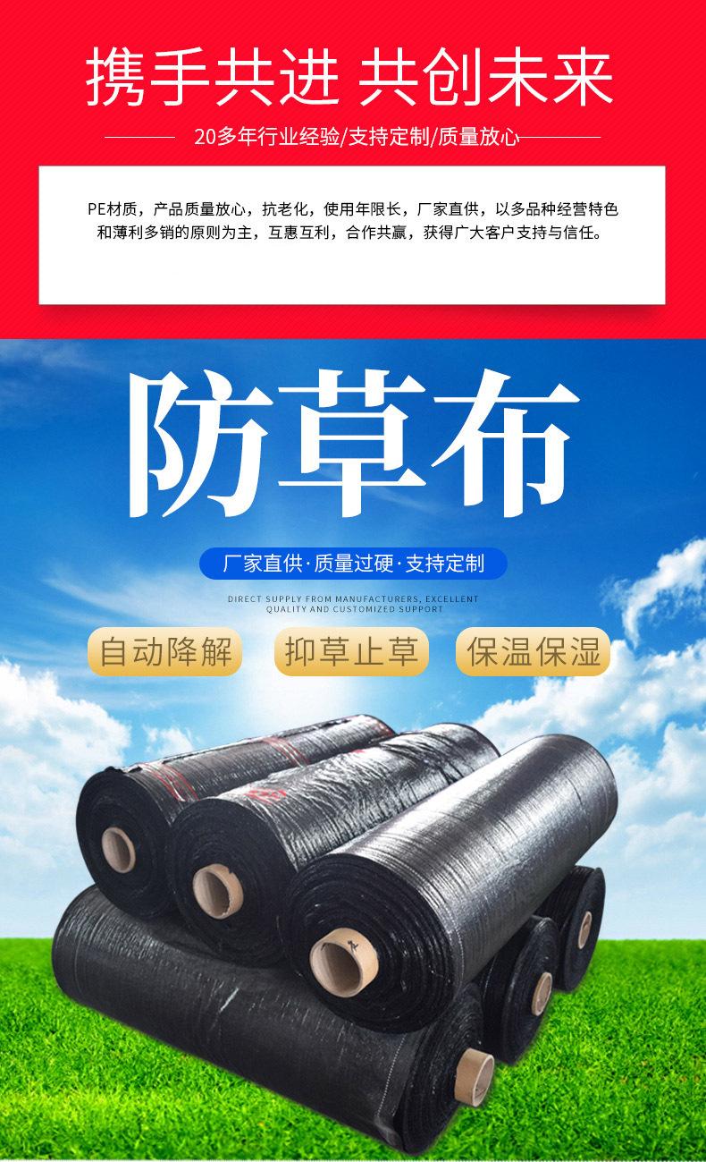 324c285ade23b5cde7692952d03125