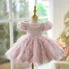 Vestido de Primer Cumpleaños para Niña Anfitriona Vestido de Princesa Infantil de Gama Alta Flor Rosa Dama de Honor Boda Niña Pequeña Vestido para Actuación de Piano