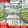 Estante de Cultivo Hidropónico 3D Multicapa Invernadero Cultivo sin Suelo Estante para Plántulas de Verduras Bandeja para Plántulas de Flores Hidropónicas de Interior
