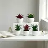 Mini plantas suculentas artificiales de maceta transfronterizas para decoración del hogar, plantas falsas, bonsáis pequeños, adornos de plantas verdes de escritorio para oficina y restaurante
