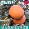 Venta al por mayor de plántulas de caqui dulce Luotian para plantar en patios del norte y del sur, plantas en maceta extragrandes para plantar en todas las estaciones, plántulas de fruta injertada