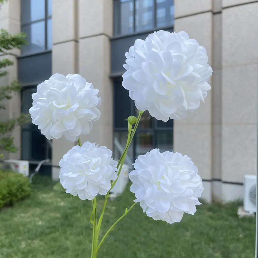 27# 4头高枝芙蓉球-wxzjgx-白色.JPG