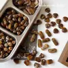 Serie Maillard Otoño e Invierno Acrílico Difuminado Corazón de Dos Colores Cuadrado Ovalado Material para Pulsera DIY Accesorios de Joyería