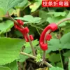 Doblador y Moldeador de Ramas Multifuncional para Jardinería, Especializado para Estilismo de Bonsái, Gancho de Presión para Ramas, Pinza de Torcedura de Ramas, Herramienta de Tensión y Doblado de Ramas, Modelo Nuevo
