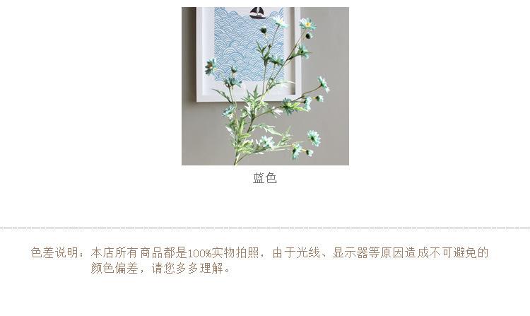 丁香菊1.jpg