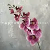 Orquídea Phalaenopsis de 9 Flores Impressa em 3D Decoração de Mesa Nórdica Arranjo Floral de Casamento Orquídea Phalaenopsis Artificial Azul-Roxo