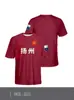 Superliga de China Jiangsu Equipo de la Ciudad de Nanjing Edición para Aficionados Camiseta de Aficionado Camiseta 3D Estampada
