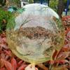 Bola de cristal ondulada de 18 y 24 pulgadas para decoración de bodas y fiestas navideñas.