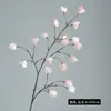 Nuevo Estilo Wabi-Sabi Fruta Linterna de Alta Simulación Flor de Seda Fondo de Boda Arreglo Floral Decoración Suave Decoración de Exhibición de Centro Comercial Adorno