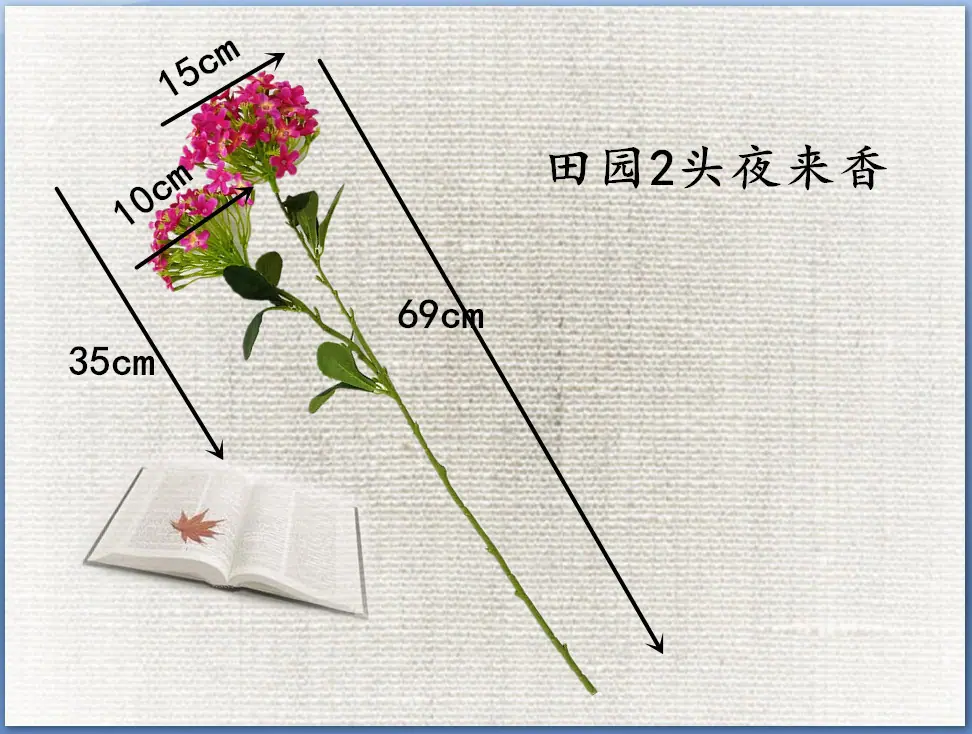 DSC06398_副本.jpg