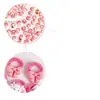 Elástico de Borracha Desenho Animado para Bebê Kidsren's Thumb Hair Band Anel de Toalha Melody para Meninas Elástico de Cabelo de Alta Elasticidade Acessórios de Cabelo