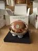 Casa Massajador Automático Inteligente para Animais de Estimação Carregamento Elétrico Multifuncional Massagem Portátil Faixa para Coluna Cervical Cabeça