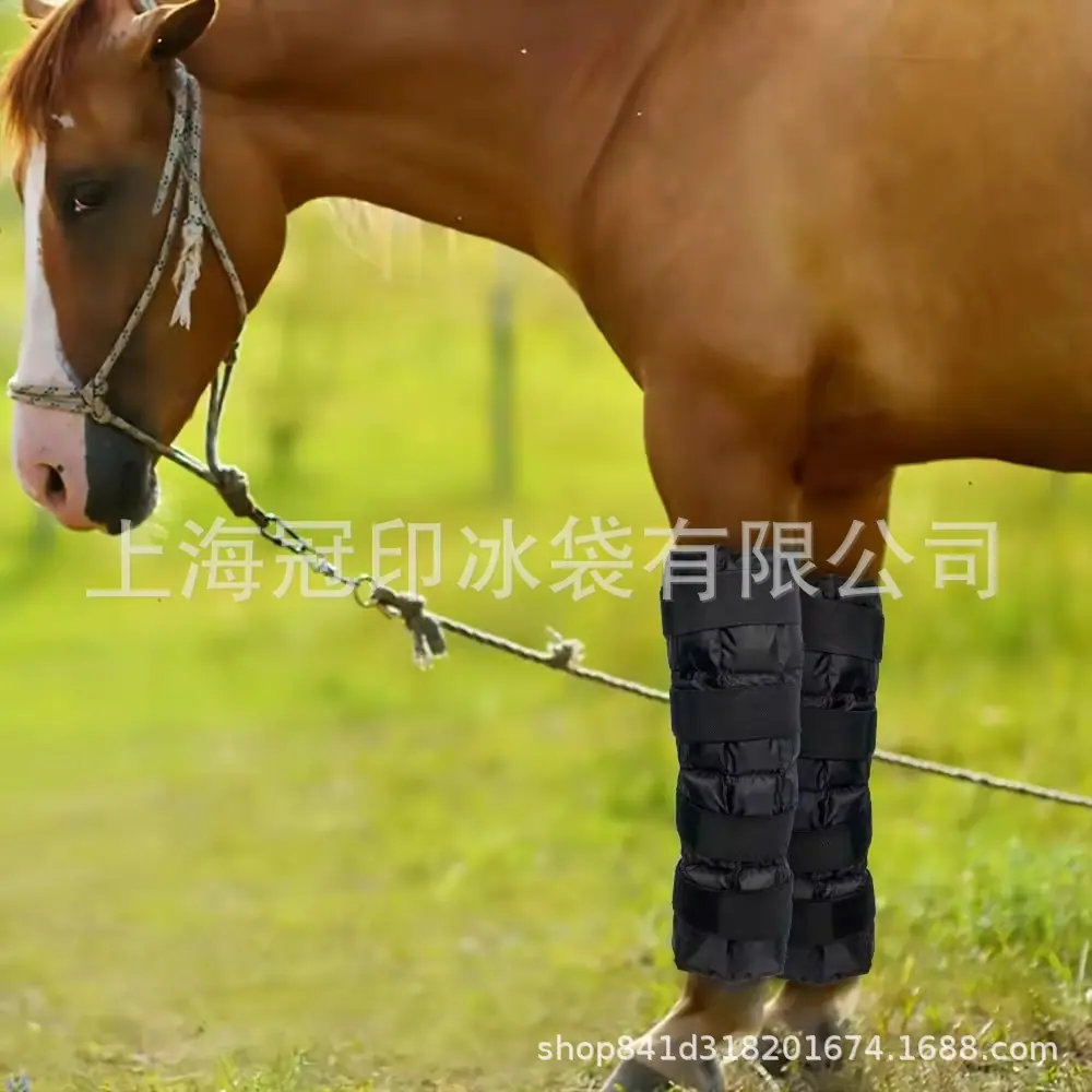 微信图片_20250922130501_233_23.jpg